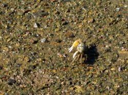 Zoutpan_Ingezetenen_20121101_042